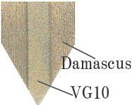 Cross section image of vg10 damascus